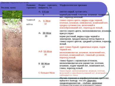 Дерново-подзолистые почвы Рисунок, мазок Название горизонта Индекс горизонта,...