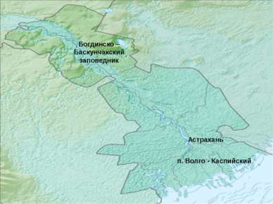 Богдинско – Баскунчакский заповедник Астрахань п. Волго - Каспийский