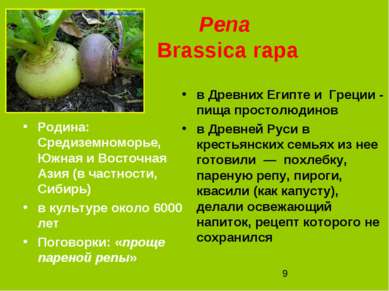 Репа Brassica rapa Родина: Средиземноморье, Южная и Восточная Азия (в частнос...