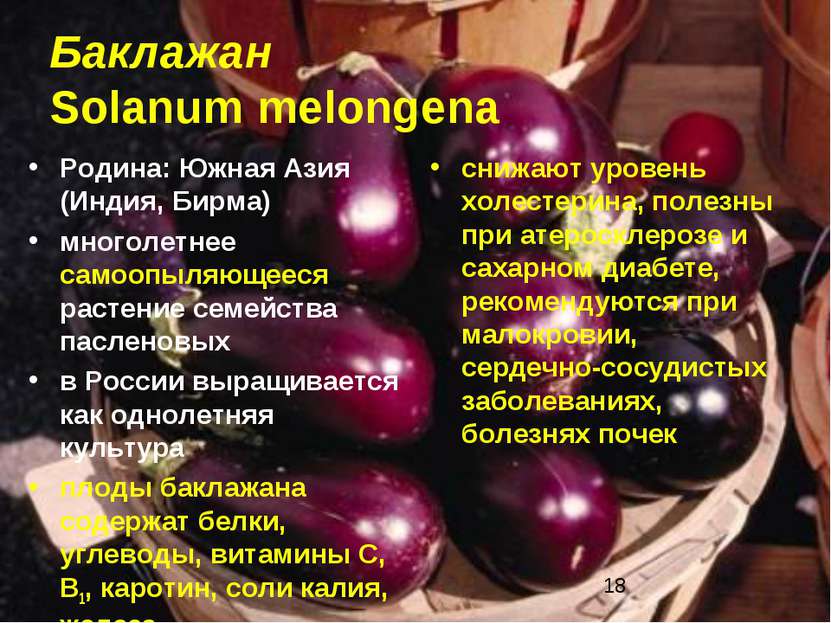Баклажан Solanum melongena Родина: Южная Азия (Индия, Бирма) многолетнее само...