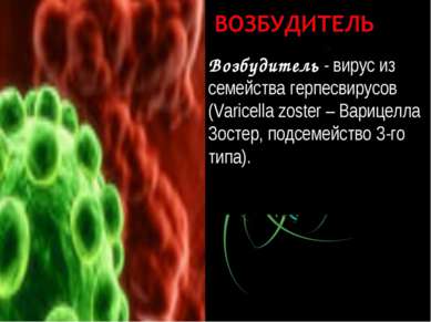 Возбудитель - вирус из семейства герпесвирусов (Varicella zoster – Варицелла ...