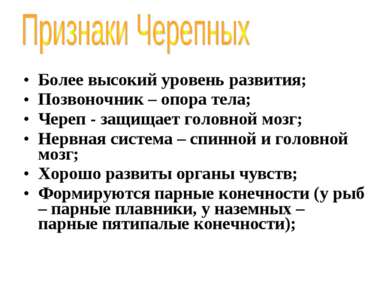 Более высокий уровень развития; Позвоночник – опора тела; Череп - защищает го...