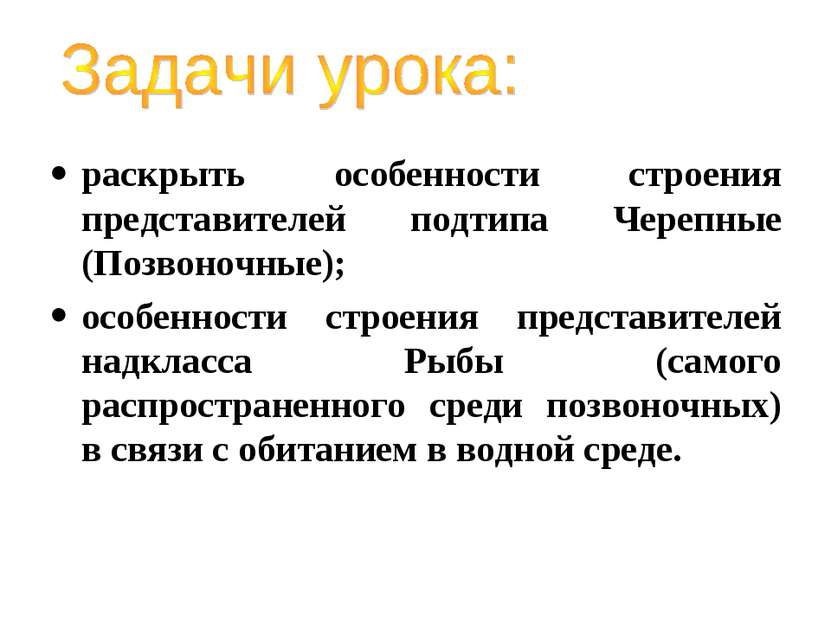 раскрыть особенности строения представителей подтипа Черепные (Позвоночные); ...