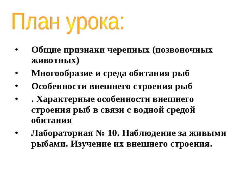 Общие признаки черепных (позвоночных животных) Многообразие и среда обитания ...