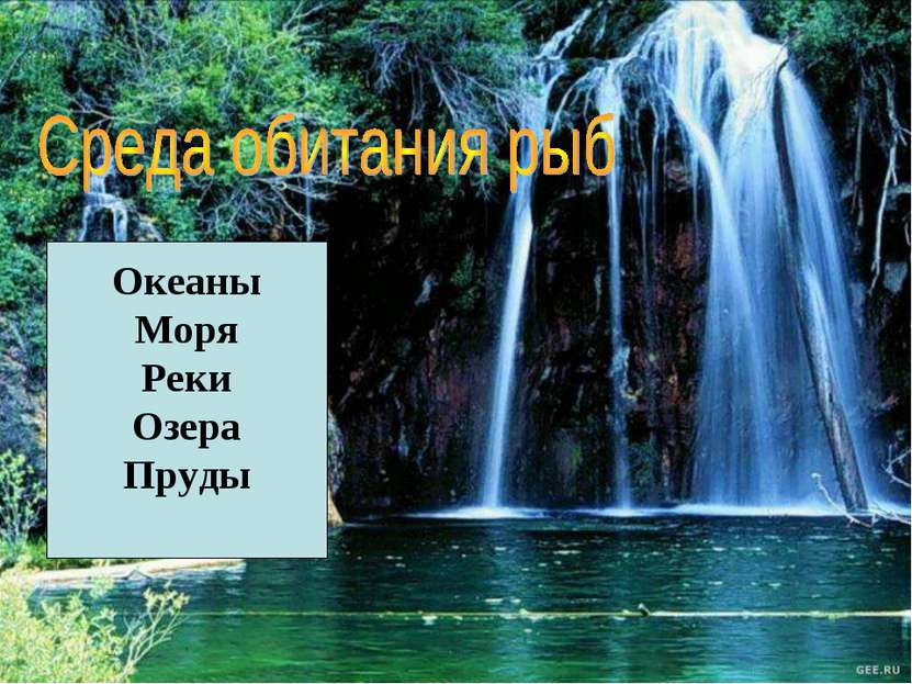 Океаны Моря Реки Озера Пруды