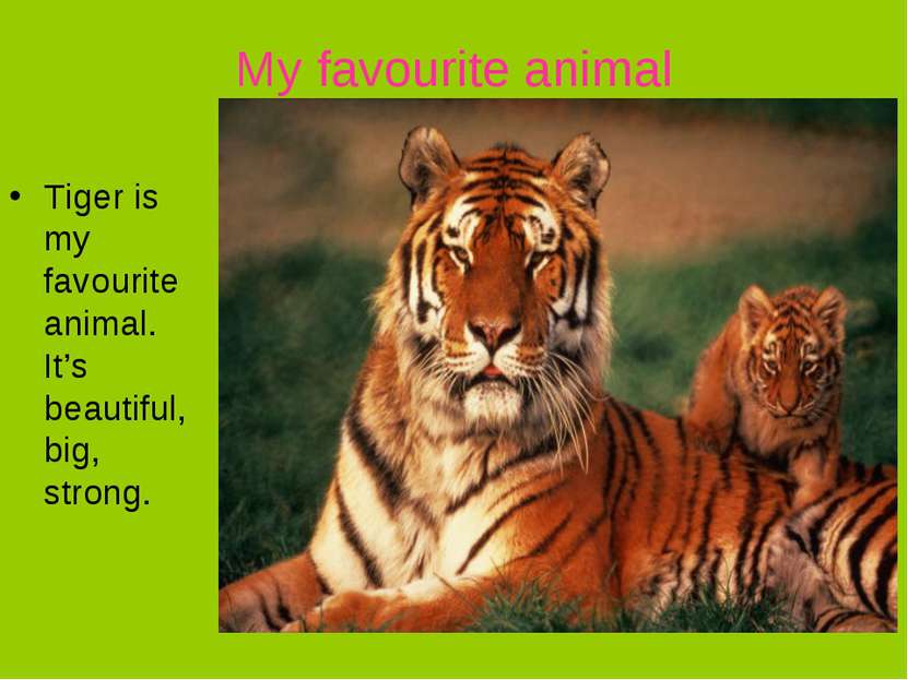 My favourite animal Tiger is my favourite animal. It’s beautiful, big, strong.