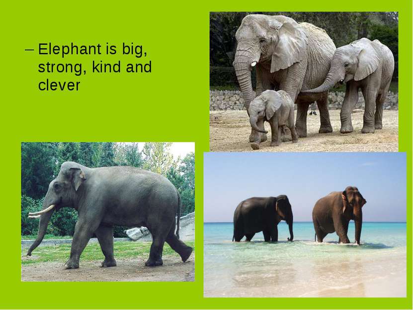 Elephant is big, strong, kind and clever