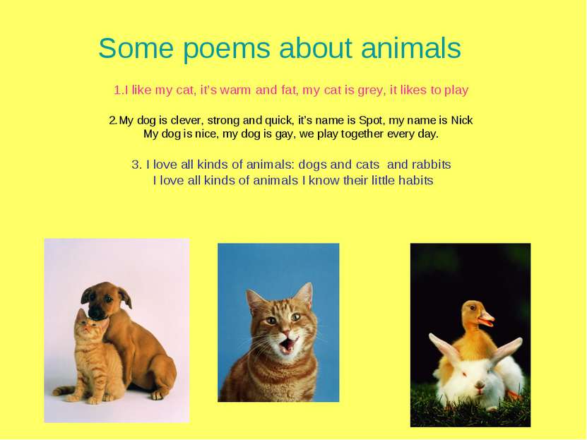 Some poems about animals 1.I like my cat, it’s warm and fat, my cat is grey, ...