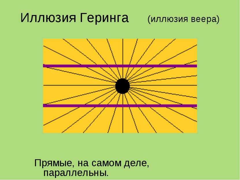 Иллюзия Геринга (иллюзия веера) Прямые, на самом деле, параллельны.