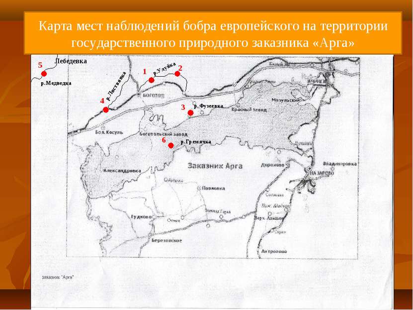 Карта мест наблюдений бобра европейского на территории государственного приро...