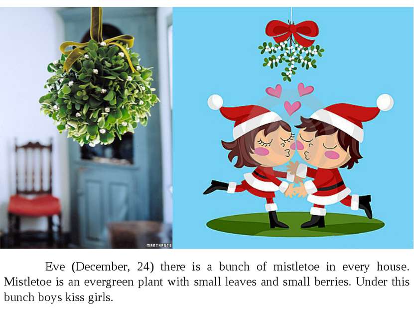 Eve (December, 24) there is a bunch of mistletoe in every house. Mistletoe is...