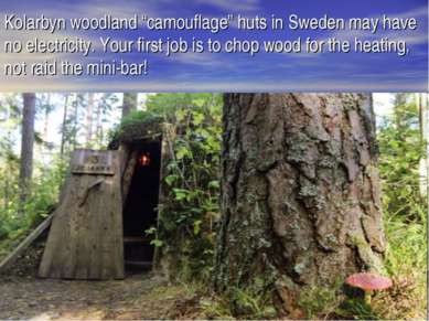 Kolarbyn woodland “camouflage” huts in Sweden may have no electricity. Your f...