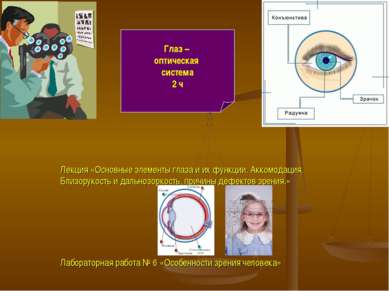 Глаз – оптическая система 2 ч Лекция «Основные элементы глаза и их функции. А...