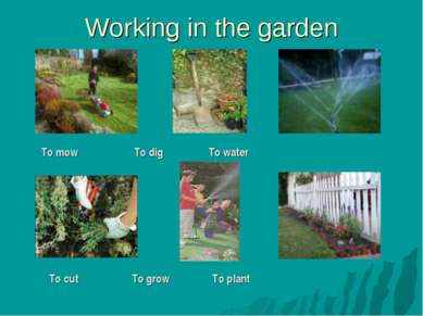 Working in the garden To mow To dig To water To cut To grow To plant