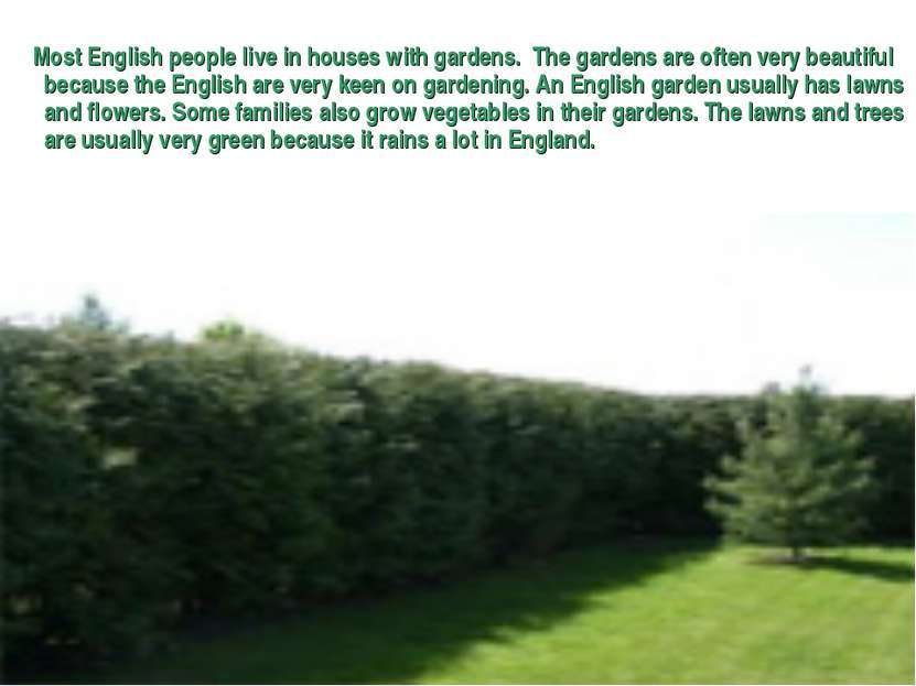 Most English people live in houses with gardens. The gardens are often very b...