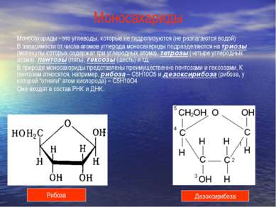 Моносахариды Моносахариды - это углеводы, которые не гидролизуются (не разлаг...