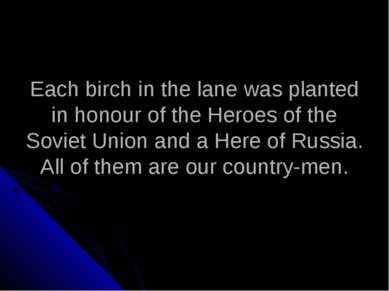 Each birch in the lane was planted in honour of the Heroes of the Soviet Unio...