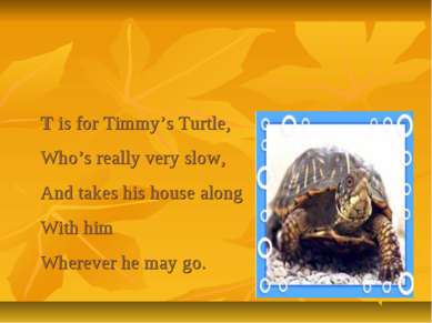 T is for Timmy’s Turtle, Who’s really very slow, And takes his house along Wi...