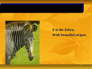 Z is the Zebra, With beautiful stripes.