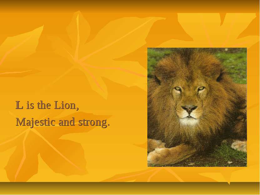 L is the Lion, Majestic and strong.