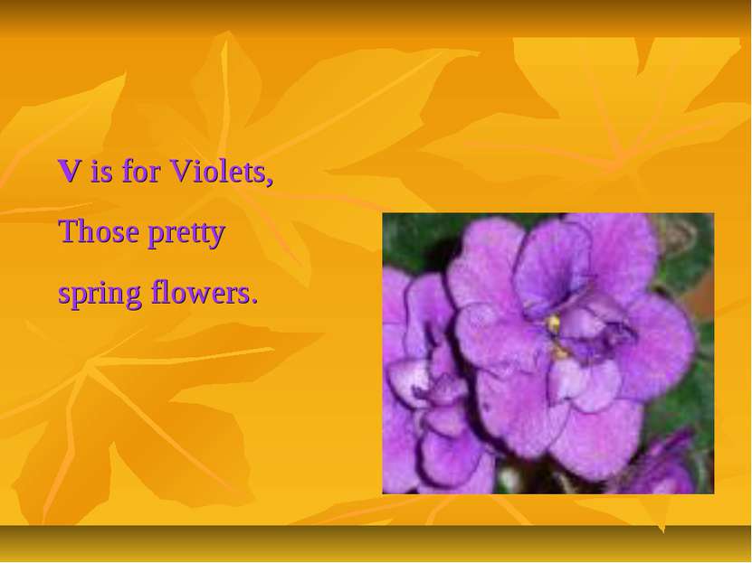 V is for Violets, Those pretty spring flowers.
