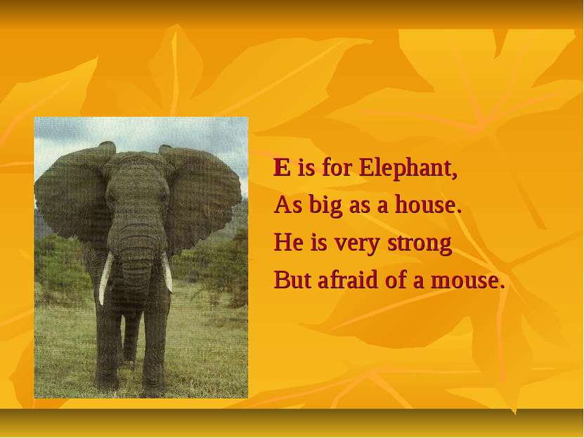 E is for Elephant, As big as a house. He is very strong But afraid of a mouse.