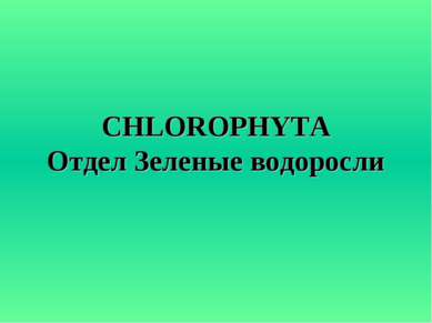 CHLOROPHYTA Отдел Зеленые водоросли