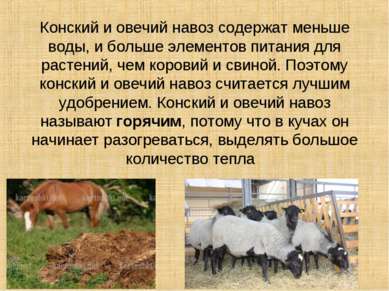 Конский и овечий навоз содержат меньше воды, и больше элементов питания для р...
