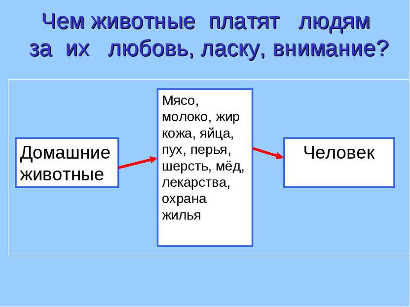 Домашние животные Мясо, молоко, жир кожа, яйца, пух, перья, шерсть, мёд, лека...