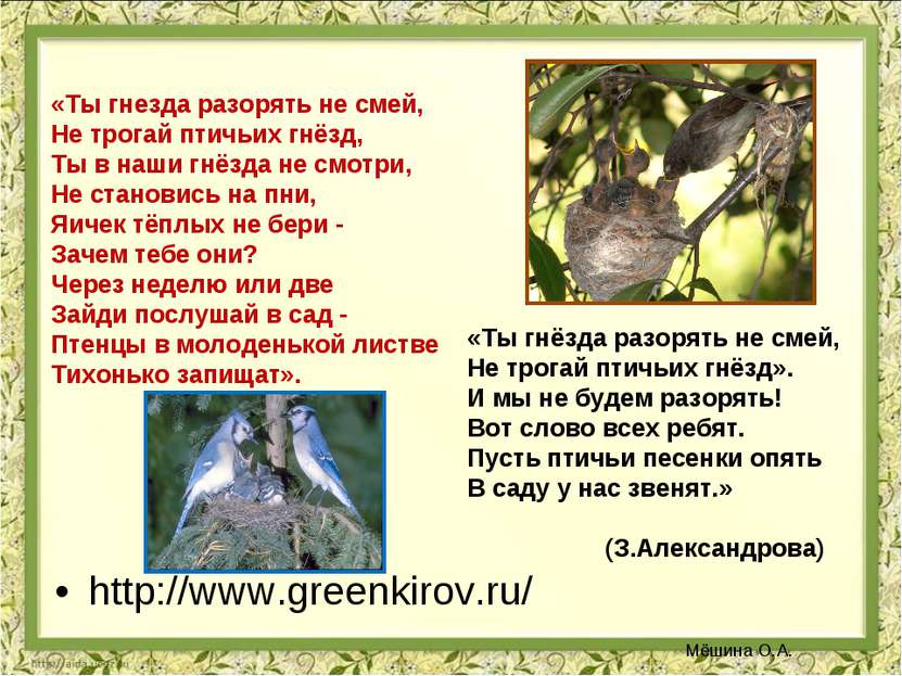 http://www.greenkirov.ru/ «Ты гнезда разорять не смей, Не трогай птичьих гнёз...