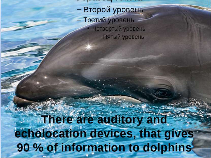 There are auditory and echolocation devices, that gives 90 % of information t...