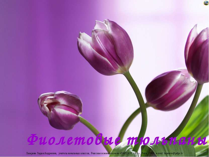 Фиолетовые тюльпаны Лазарева Лидия Андреевна, учитель начальных классов, Рижс...