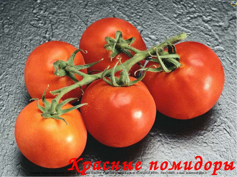 Красные помидоры Лазарева Лидия Андреевна, учитель начальных классов, Рижская...