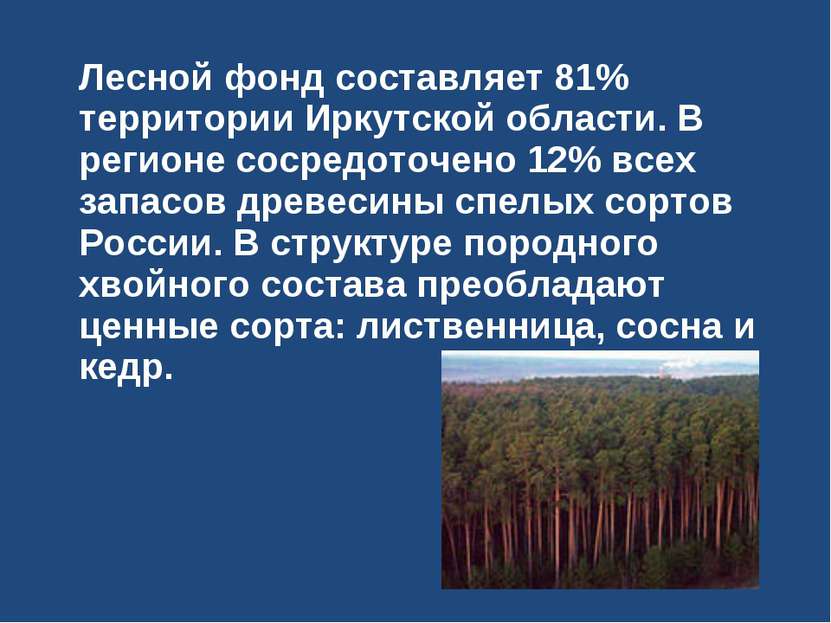 Лесной фонд составляет 81% территории Иркутской области. В регионе сосредоточ...
