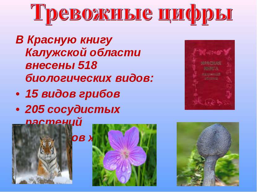 В Красную книгу Калужской области внесены 518 биологических видов: 15 видов г...