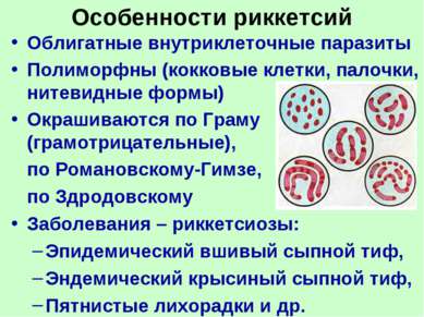 Особенности риккетсий Облигатные внутриклеточные паразиты Полиморфны (кокковы...