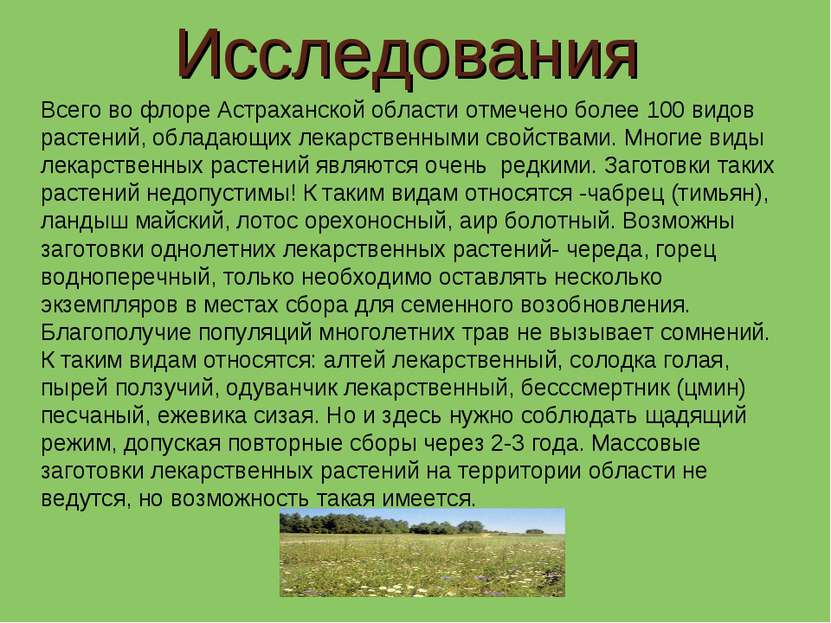 Исследования Всего во флоре Астраханской области отмечено более 100 видов рас...