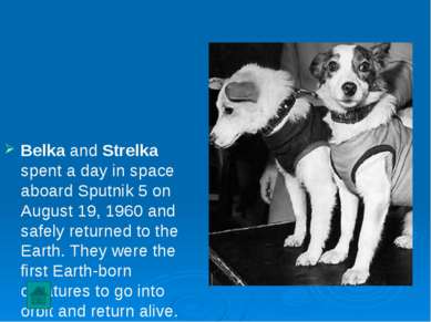 Belka and Strelka spent a day in space aboard Sputnik 5 on August 19, 1960 an...
