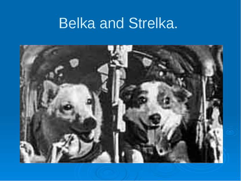 Belka and Strelka.