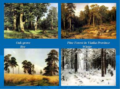 Oak grove Pine Forest in Viatka Province Rye Winter