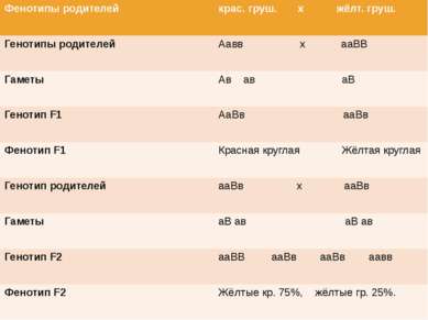 Фенотипы родителей крас. груш. х жёлт. груш. Генотипы родителей АаввхааВВ Гам...