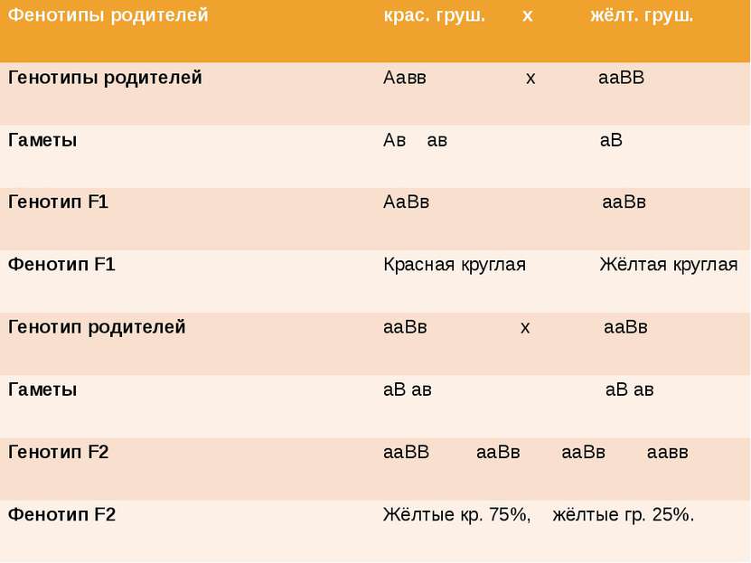 Фенотипы родителей крас. груш. х жёлт. груш. Генотипы родителей АаввхааВВ Гам...