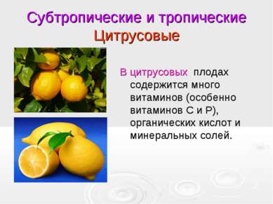 Субтропические и тропические Цитрусовые В цитрусовых плодах содержится много ...