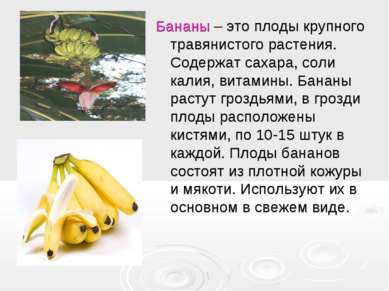 Бананы – это плоды крупного травянистого растения. Содержат сахара, соли кали...