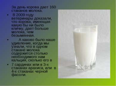 За день корова дает 160 стаканов молока. В 2009 году ветеринары доказали, что...