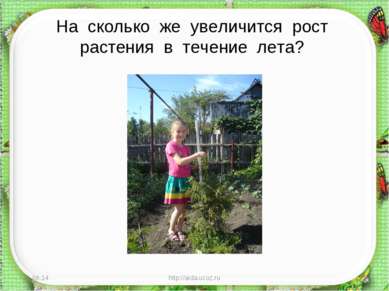 На сколько же увеличится рост растения в течение лета? * http://aida.ucoz.ru ...