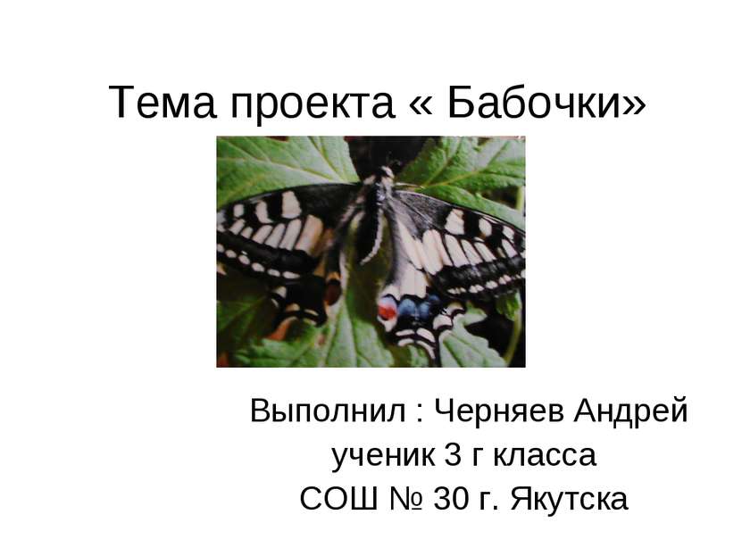 Тема проекта « Бабочки» Выполнил : Черняев Андрей ученик 3 г класса СОШ № 30 ...