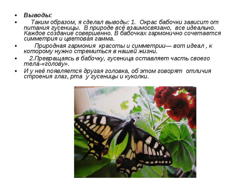 Выводы: Таким образом, я сделал выводы: 1. Окрас бабочки зависит от питания г...