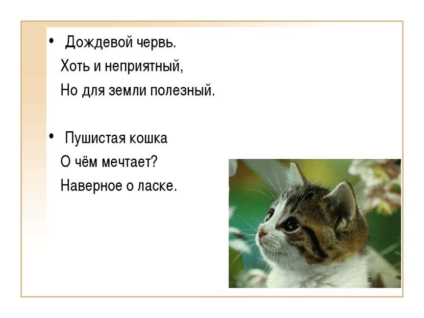 Дождевой червь. Хоть и неприятный, Но для земли полезный. Пушистая кошка О чё...