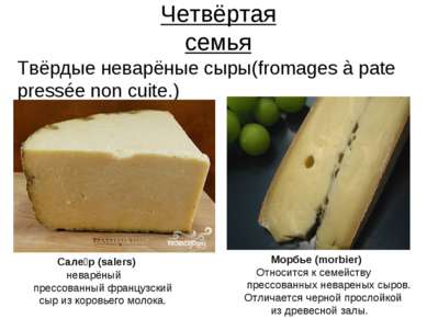 Четвёртая семья Твёрдые неварёные сыры(fromages à pate pressée non cuite.) Са...